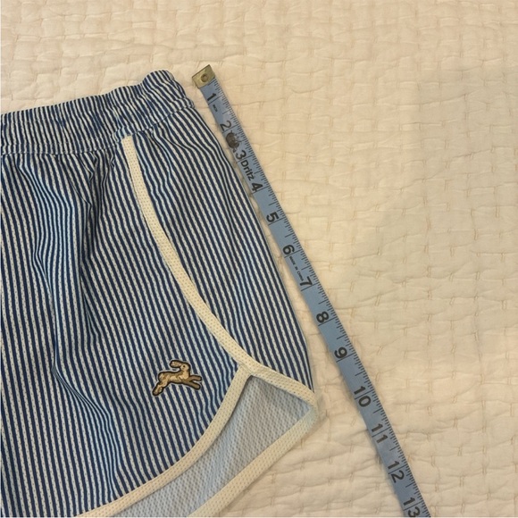 Tracksmith stripe shorts small excellent - Picture 3 of 4